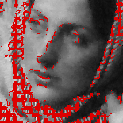 Barbara_Crop_ATu0v1.png