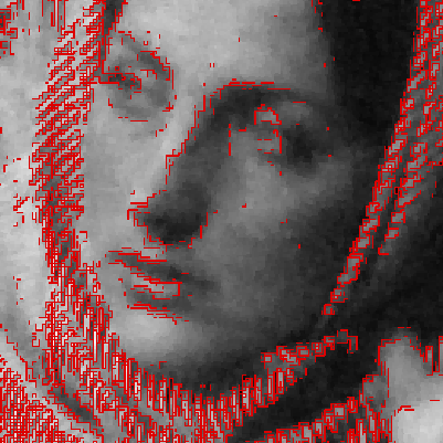 Barbara_Crop_ATu2v0.png